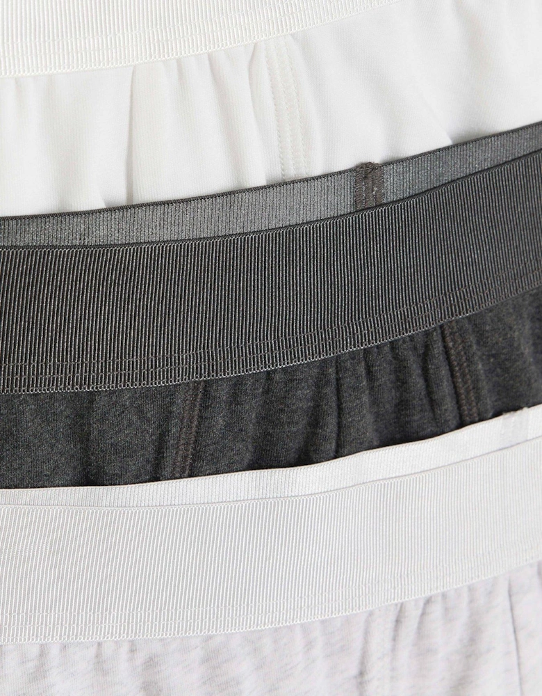 Plain Wb 4 Pack Trunks - Grey