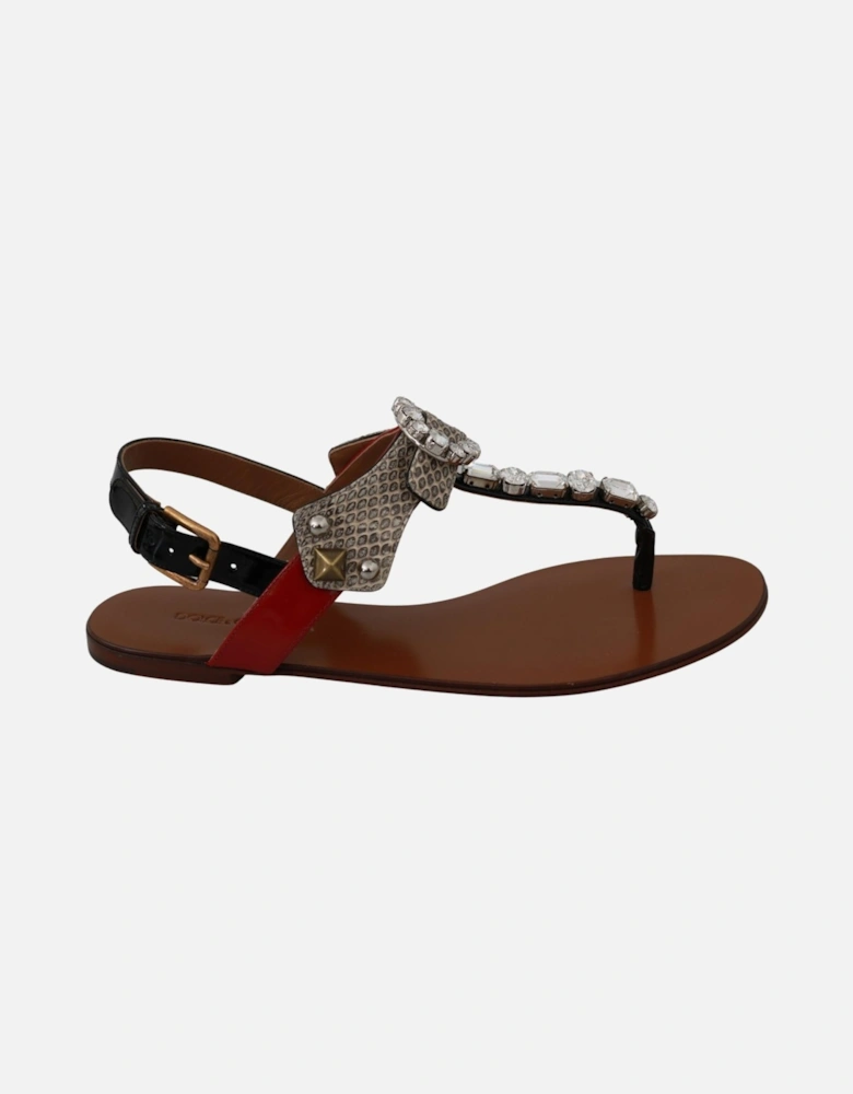 Dolce Gabbana Thong Sandals Embellished Style Women - Brown Flats