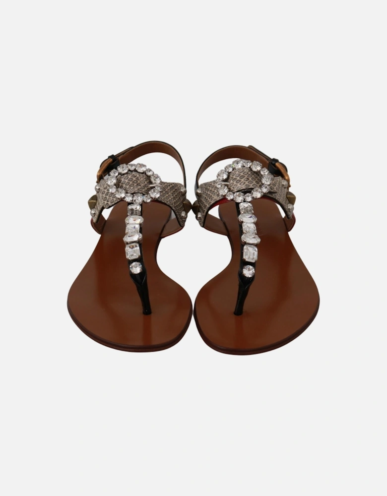 Dolce Gabbana Thong Sandals Embellished Style Women - Brown Flats