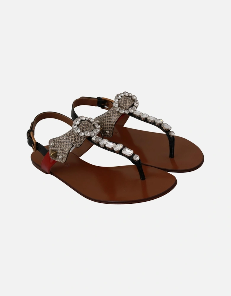 Dolce Gabbana Thong Sandals Embellished Style Women - Brown Flats