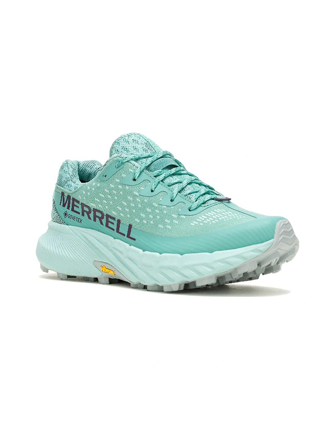 Women's Agility Peak 5 Gore-Tex Trail Running Shoes - Canton - Blue