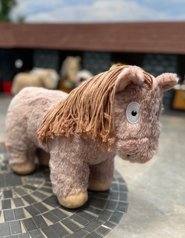 Pony Roan