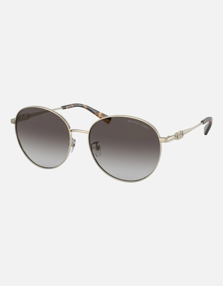 Dark Grey Gradient Lens Light Gold Sunglasses