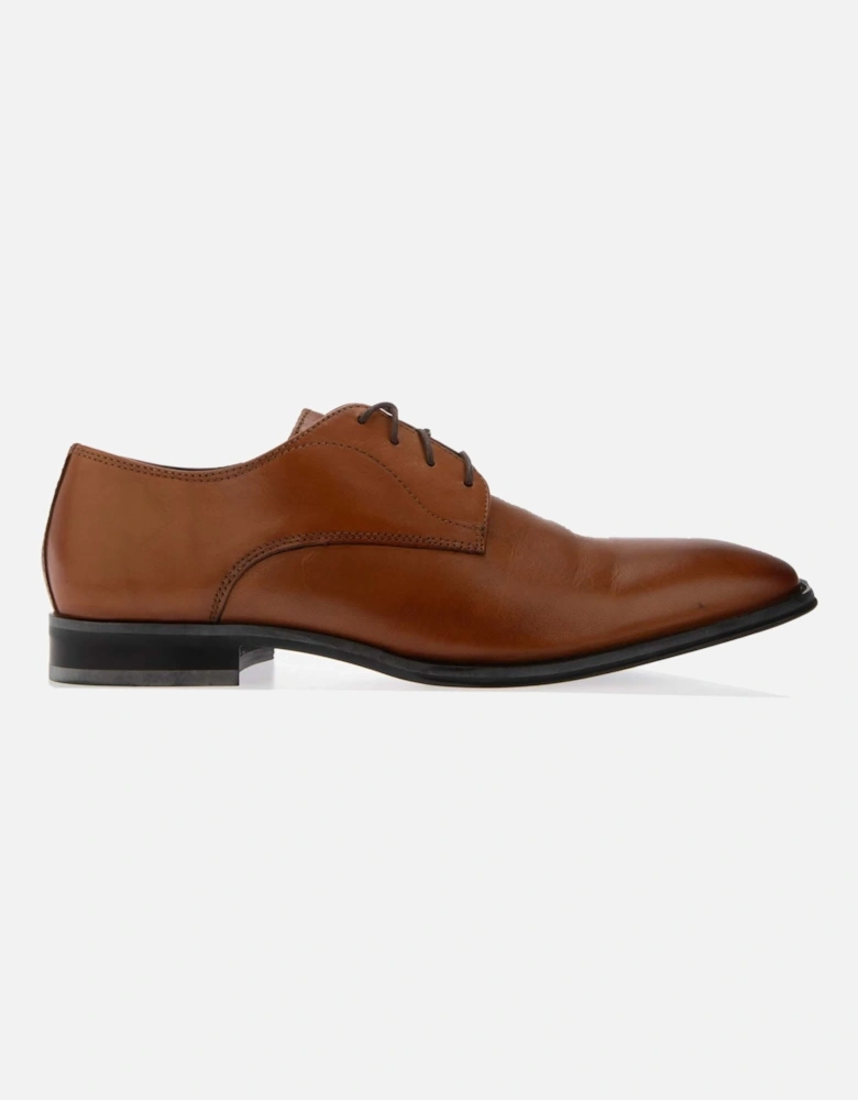 Springer Derby Shoes