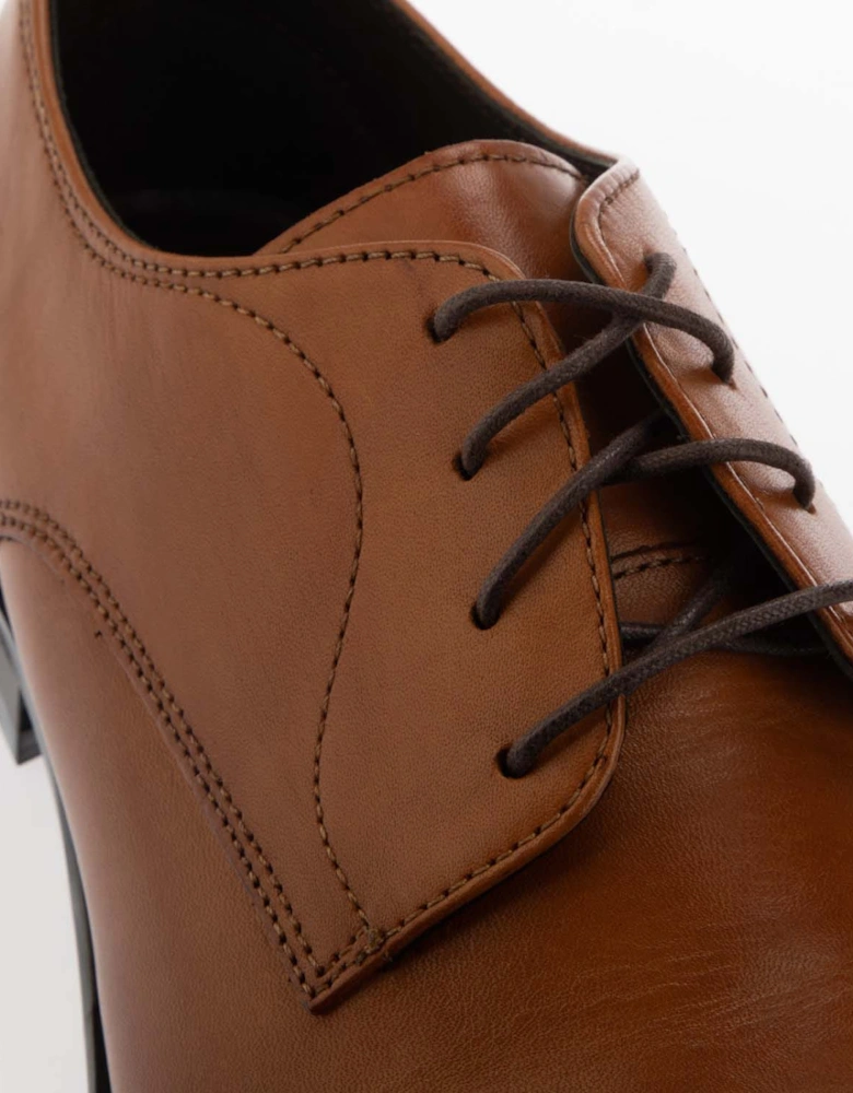 Springer Derby Shoes