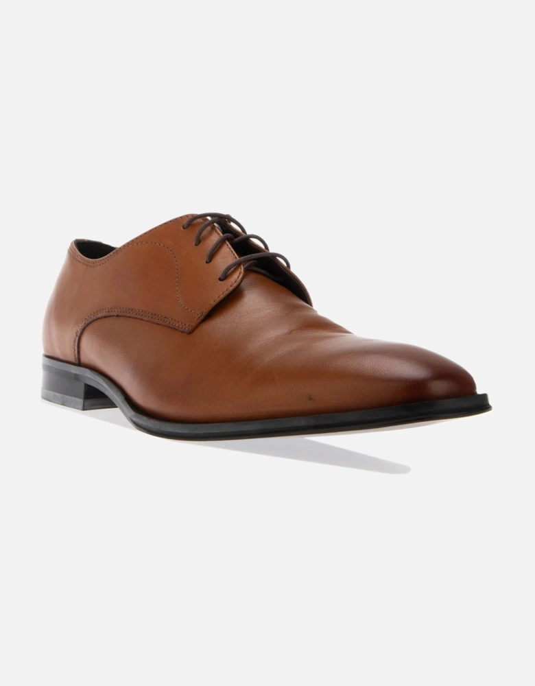 Springer Derby Shoes