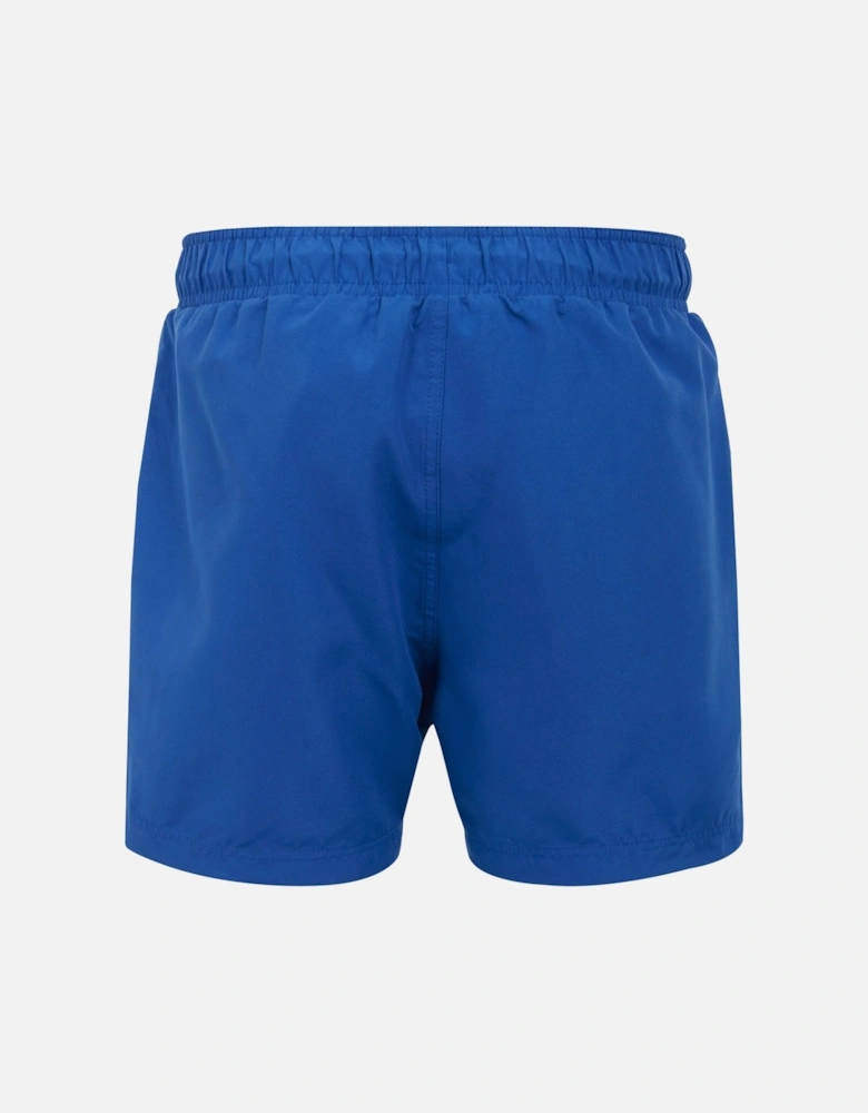 Mens Mawson II Swim Shorts