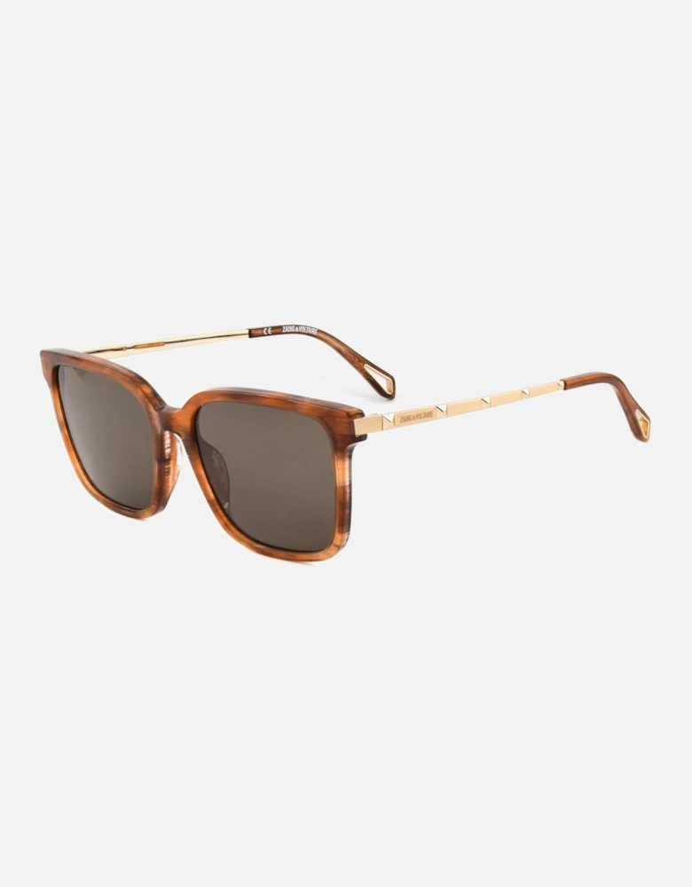 Acetate Bracelet Watch with Brown Dial Women Sunglasses