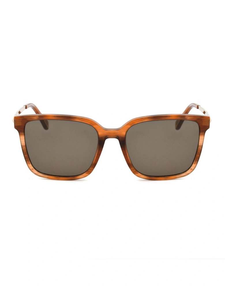 Acetate Bracelet Watch with Brown Dial Women Sunglasses
