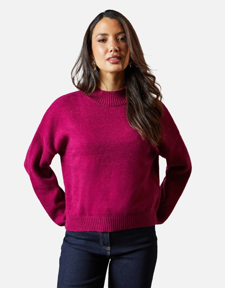 Womens/Ladies High-Neck Jumper