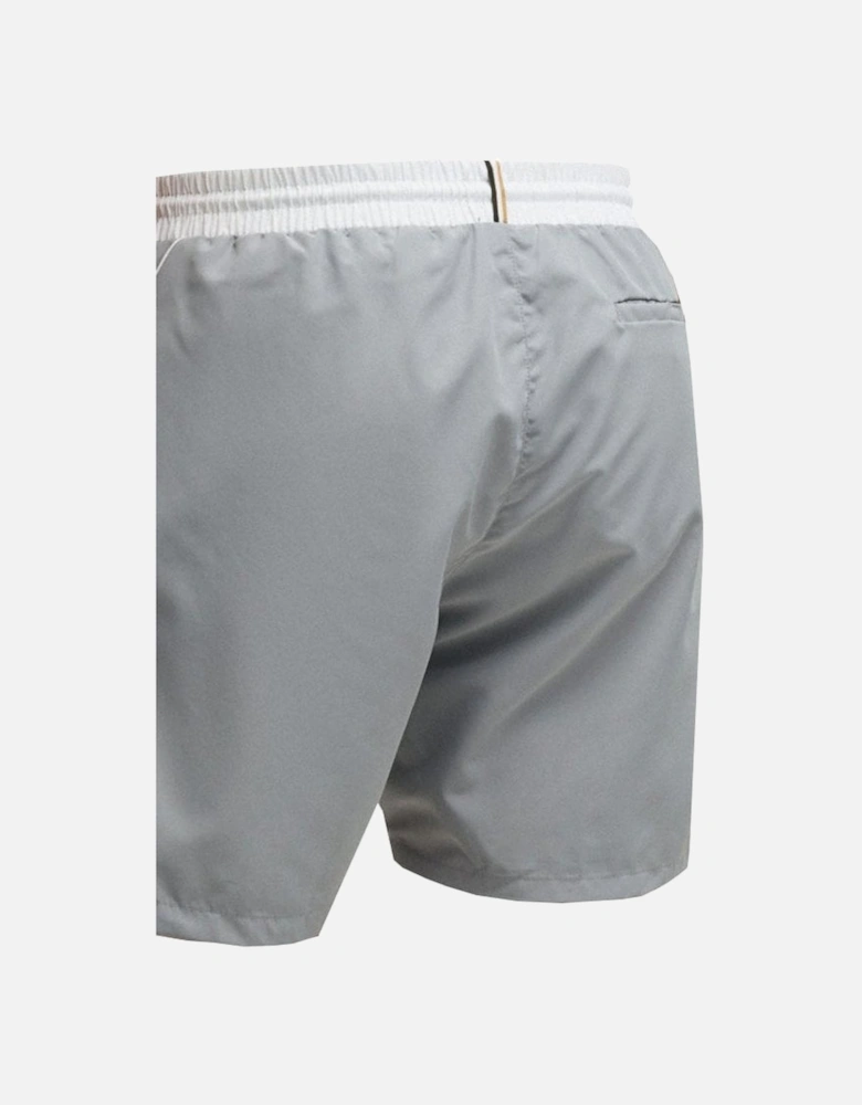 Men's Grey Starfish Swim Shorts