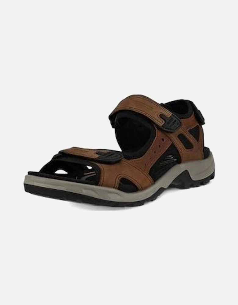 Offroad Mens Sports Sandal 069564 56401 Espresso