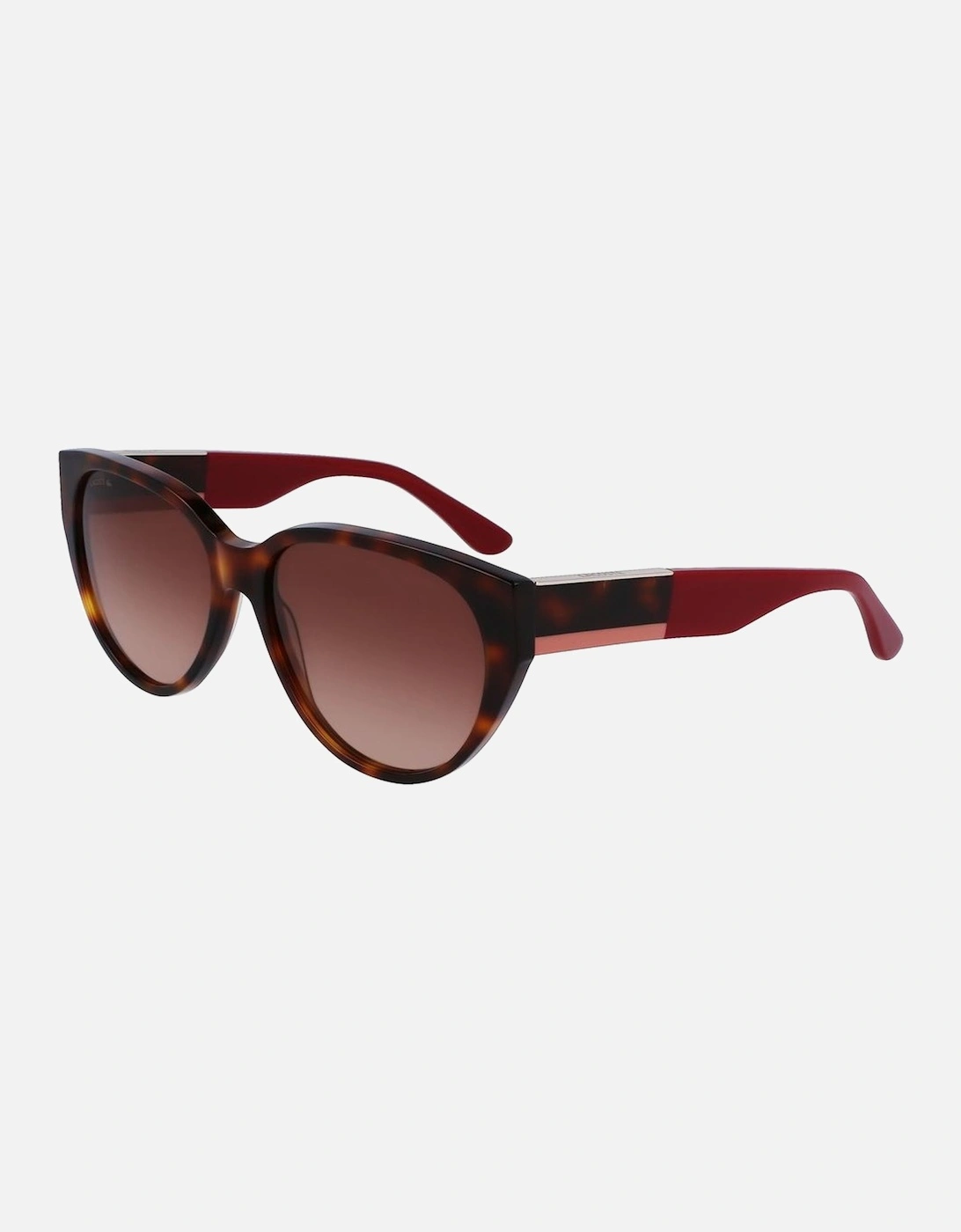 Acetate Bracelet Watch with Brown Dial Women Sunglasses, 4 of 3