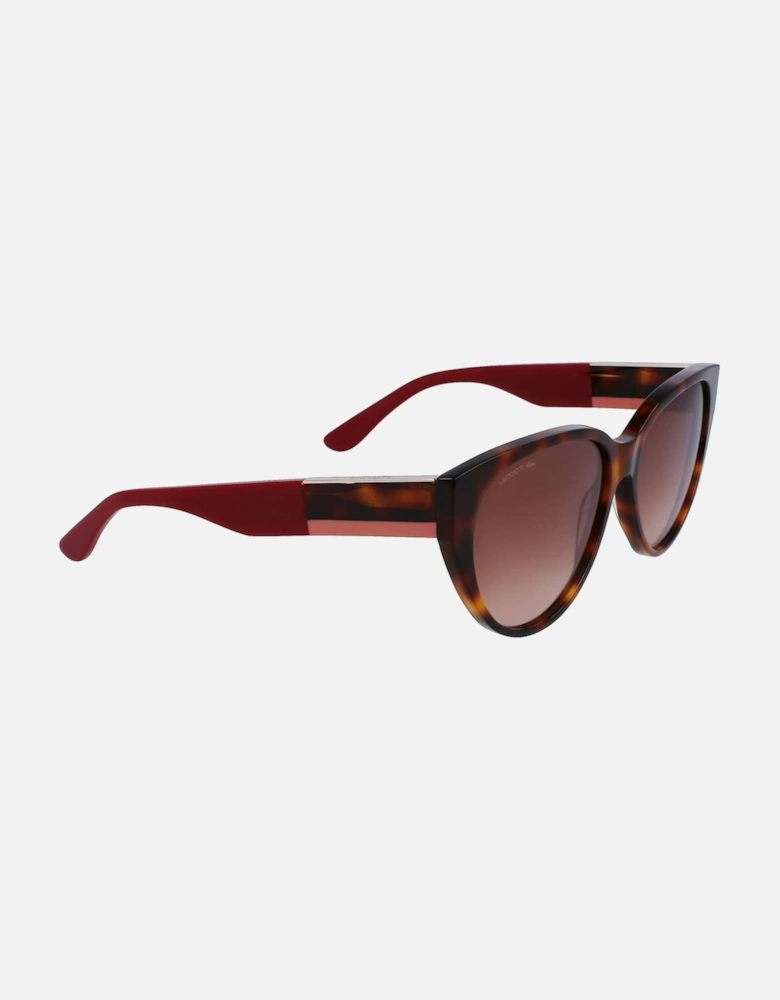 Acetate Bracelet Watch with Brown Dial Women Sunglasses