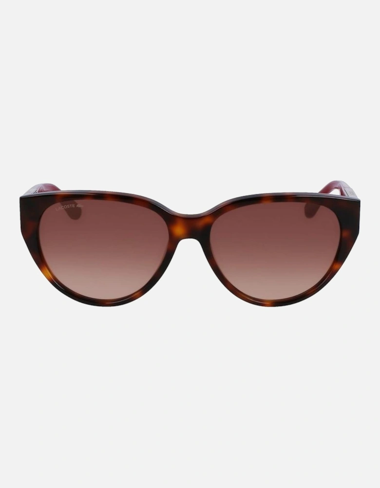 Acetate Bracelet Watch with Brown Dial Women Sunglasses