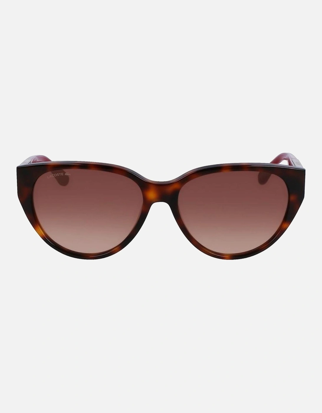 Acetate Bracelet Watch with Brown Dial Women Sunglasses