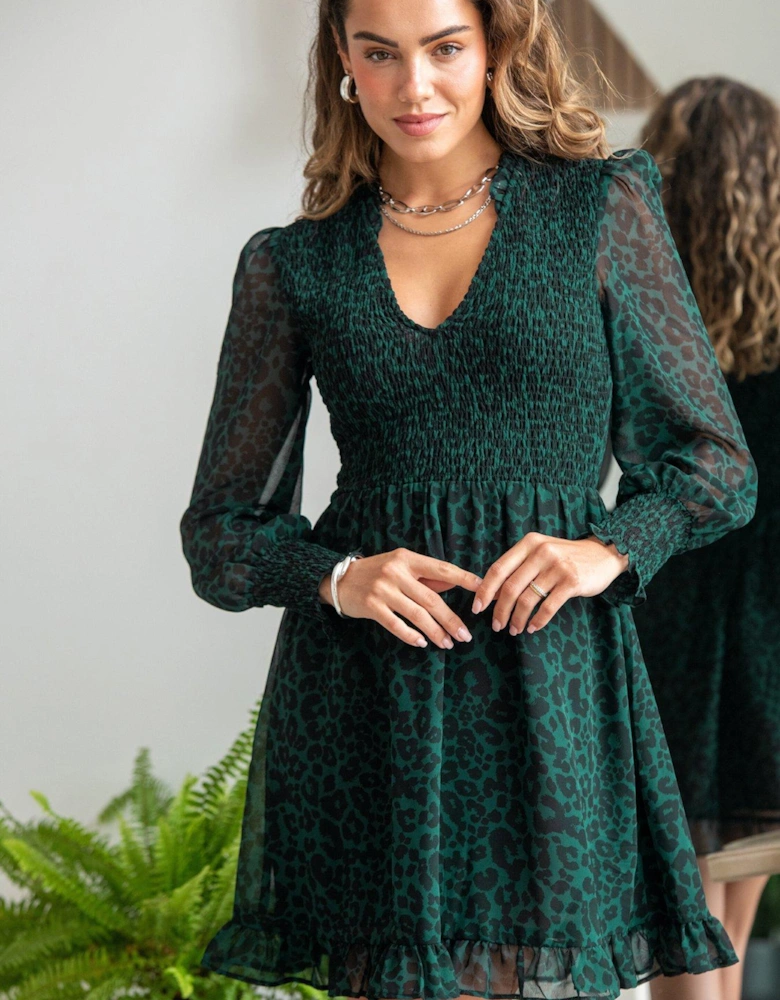 Izzy Shirred Bodice Long Sleeve Chiffon Dress