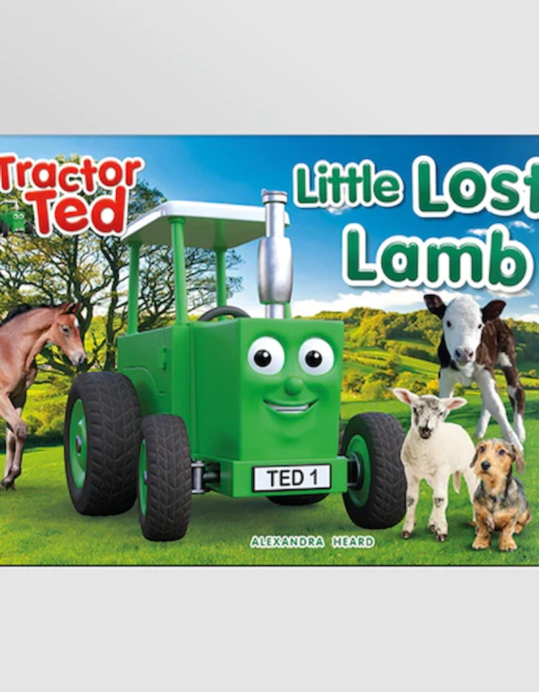 Lost Little Lamb Book