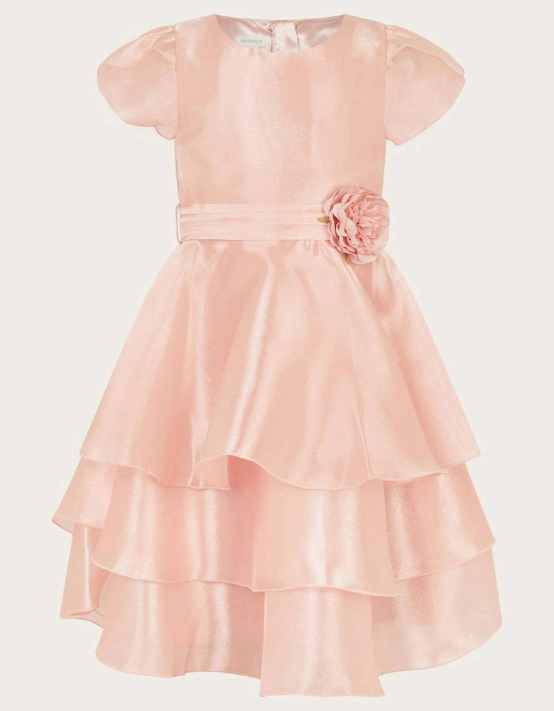 Girls Olena Organza Dress - Pink