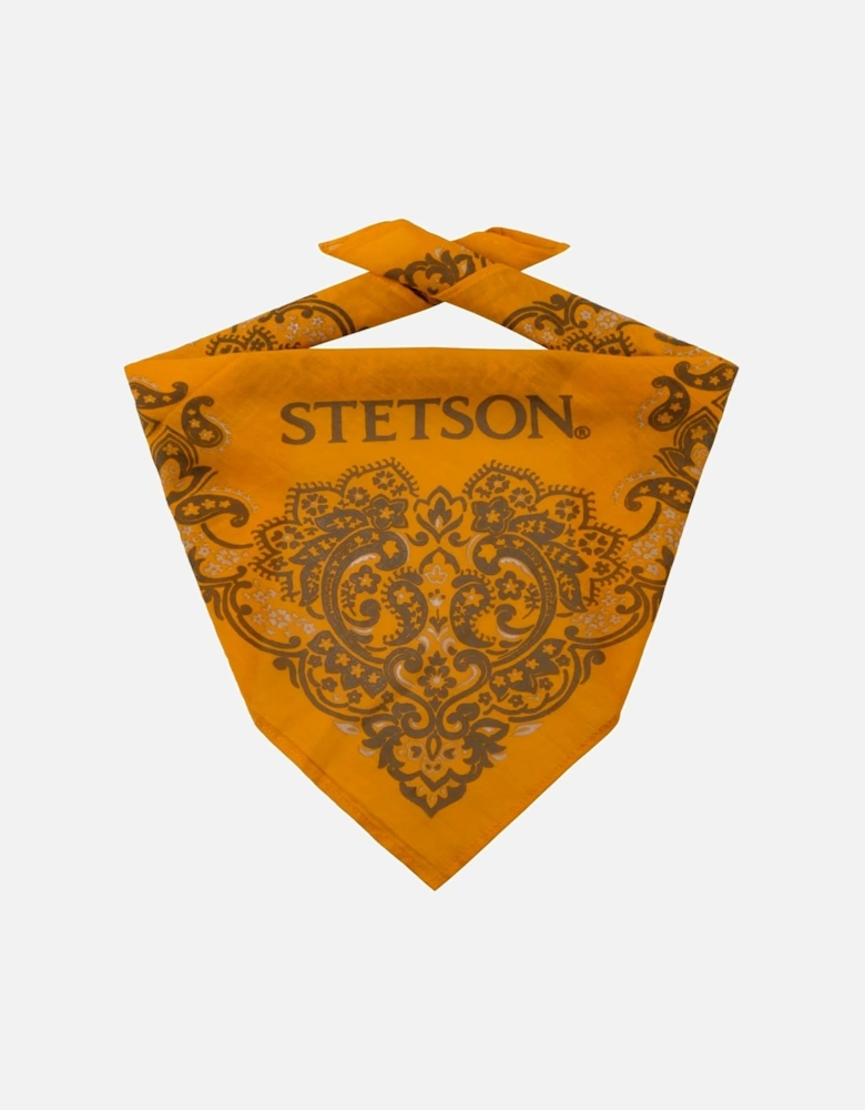 Paisley Bandana