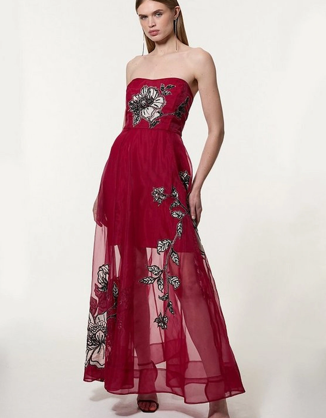 Floral Applique Organdie Woven Bandeau Maxi Dress, 5 of 4