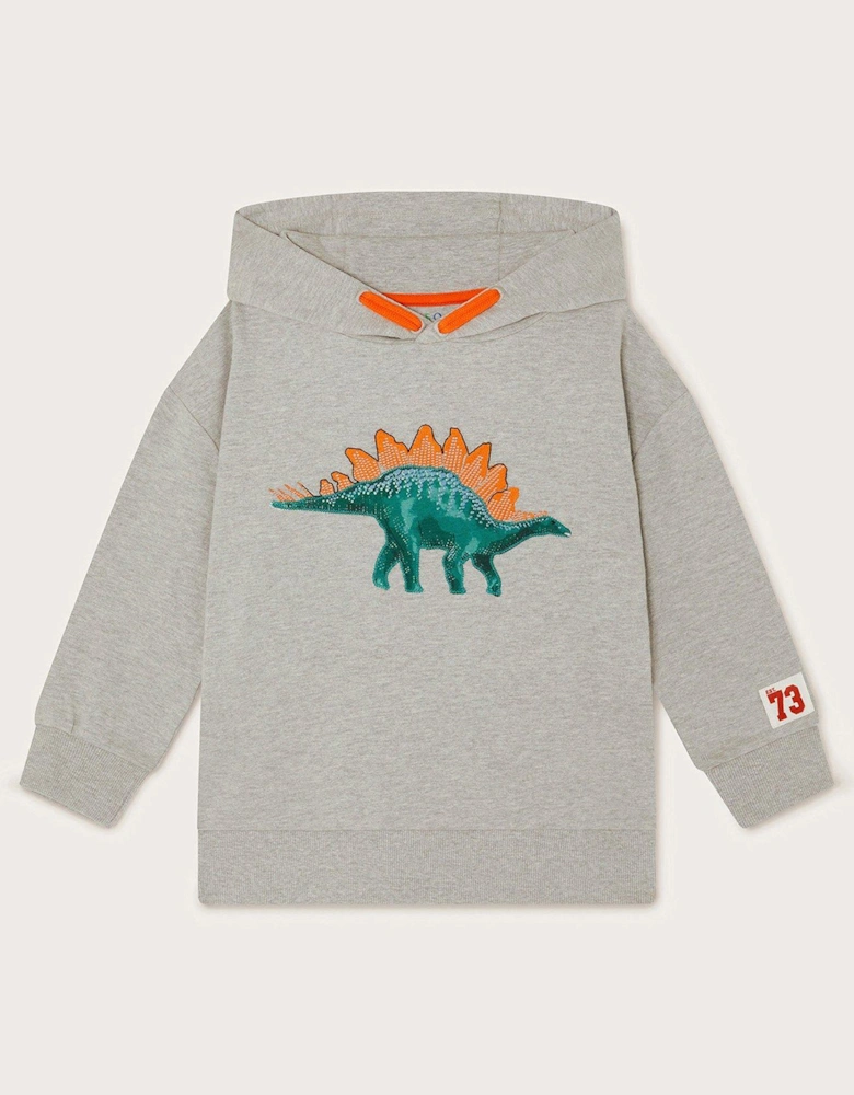 Boys Dinosaur Hoodie - Grey