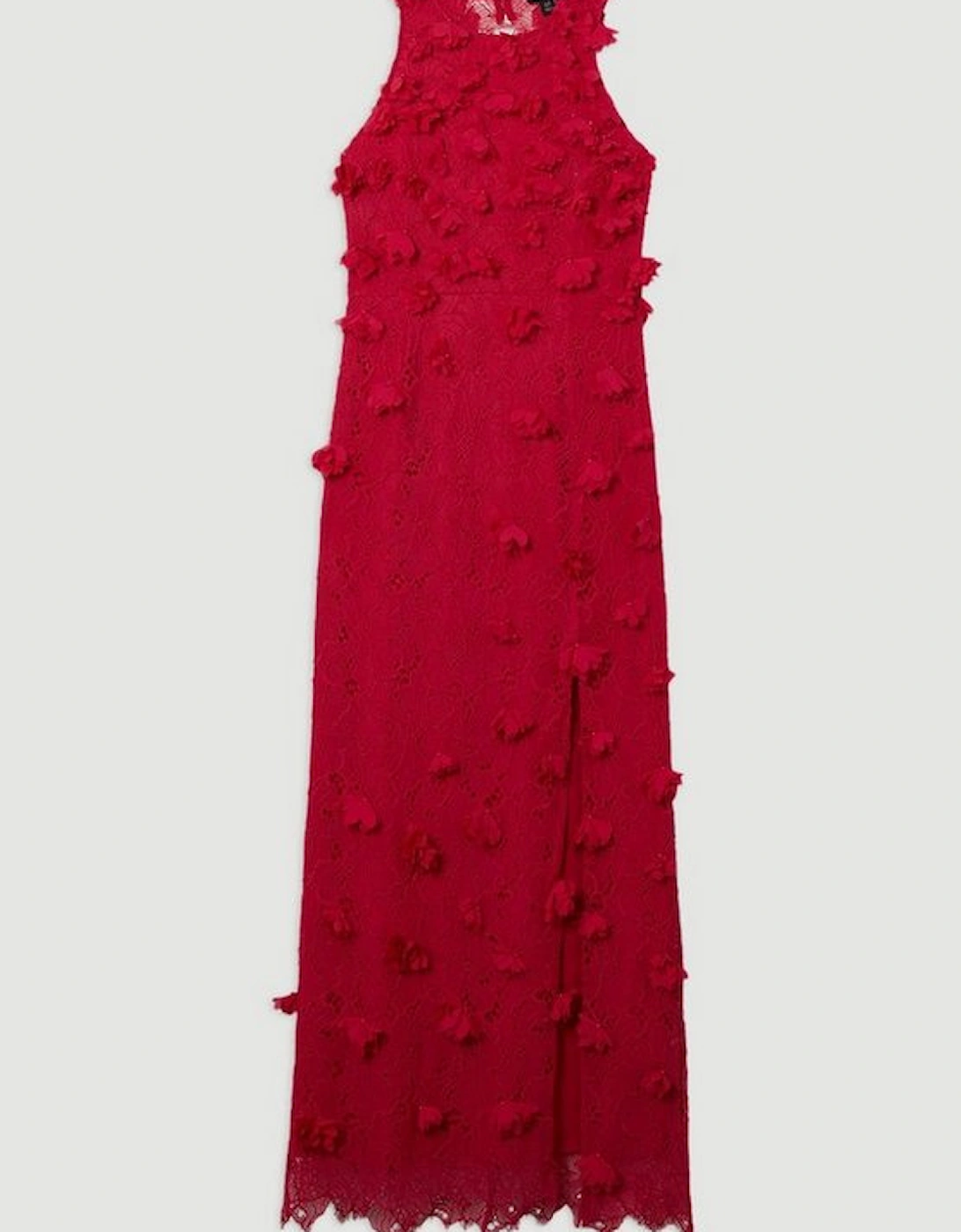 Petal Applique Lace Woven Midi Dress