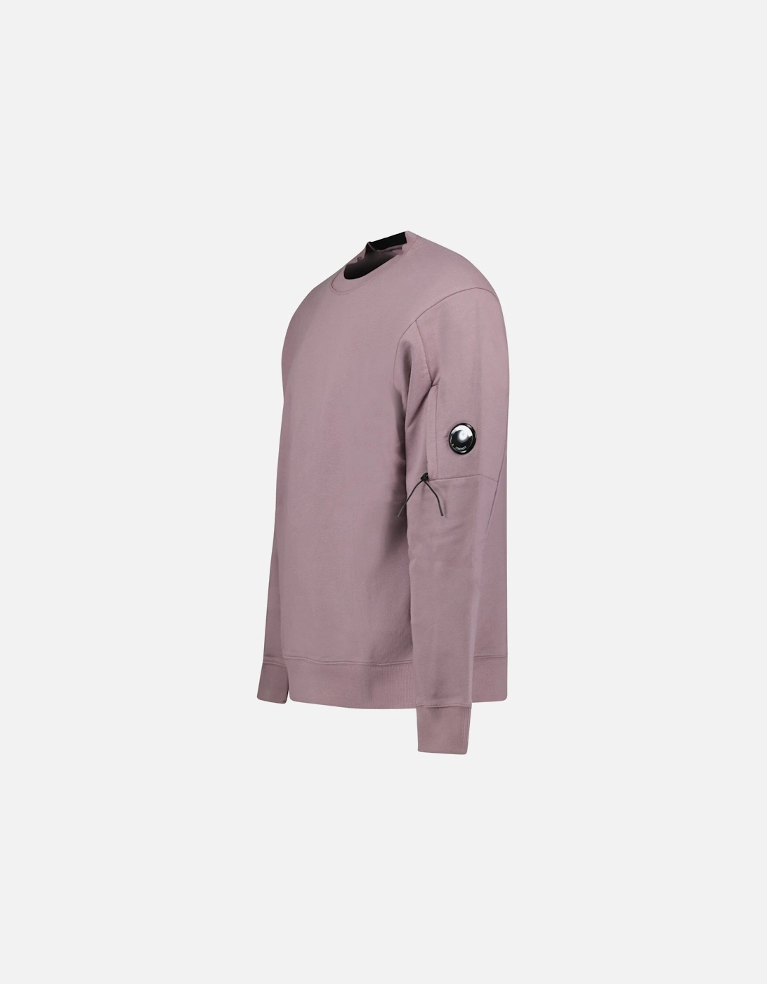 Arm Lens Diagonal Sweatshirt Purple Dove