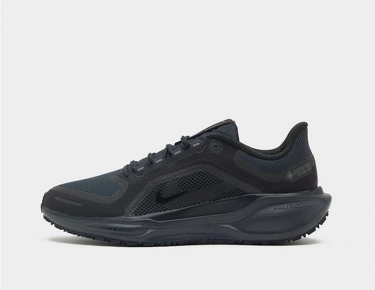 Pegasus 41 GORE-TEX, 2 of 1