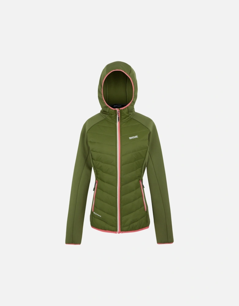 Womens/Ladies Andreson VIII Hybrid Jacket