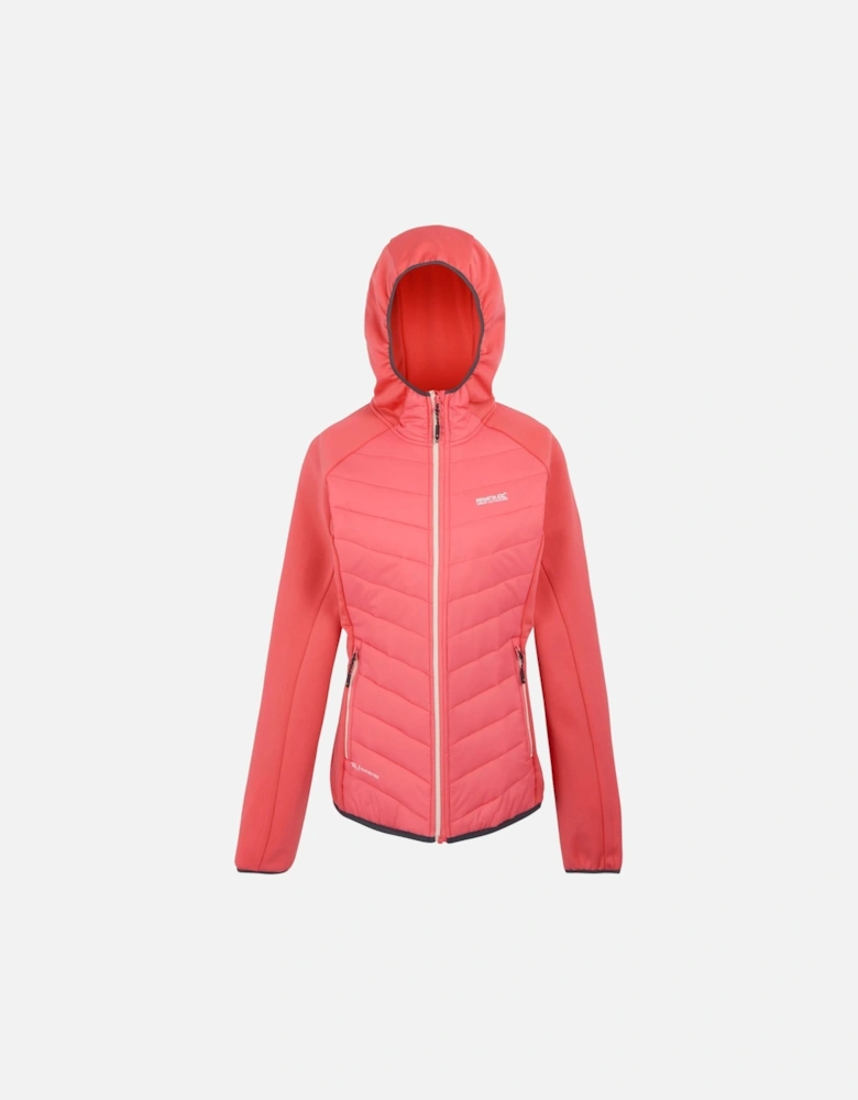 Womens/Ladies Andreson VIII Hybrid Jacket