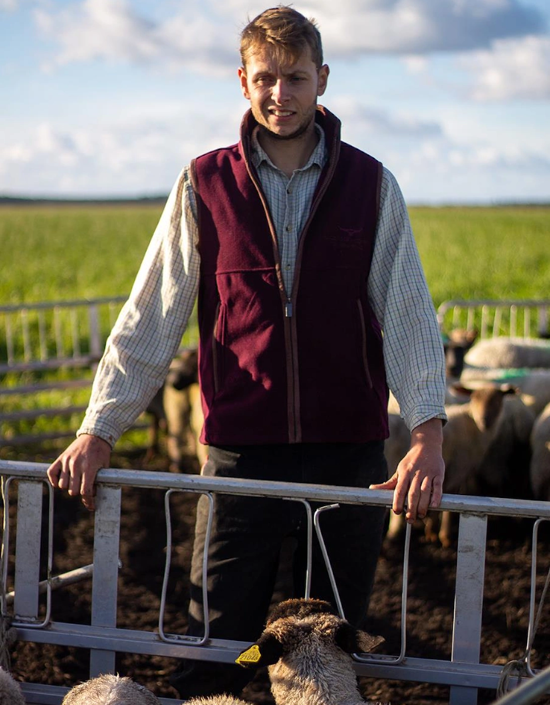 Longhorn Gilet Rutland Burgundy