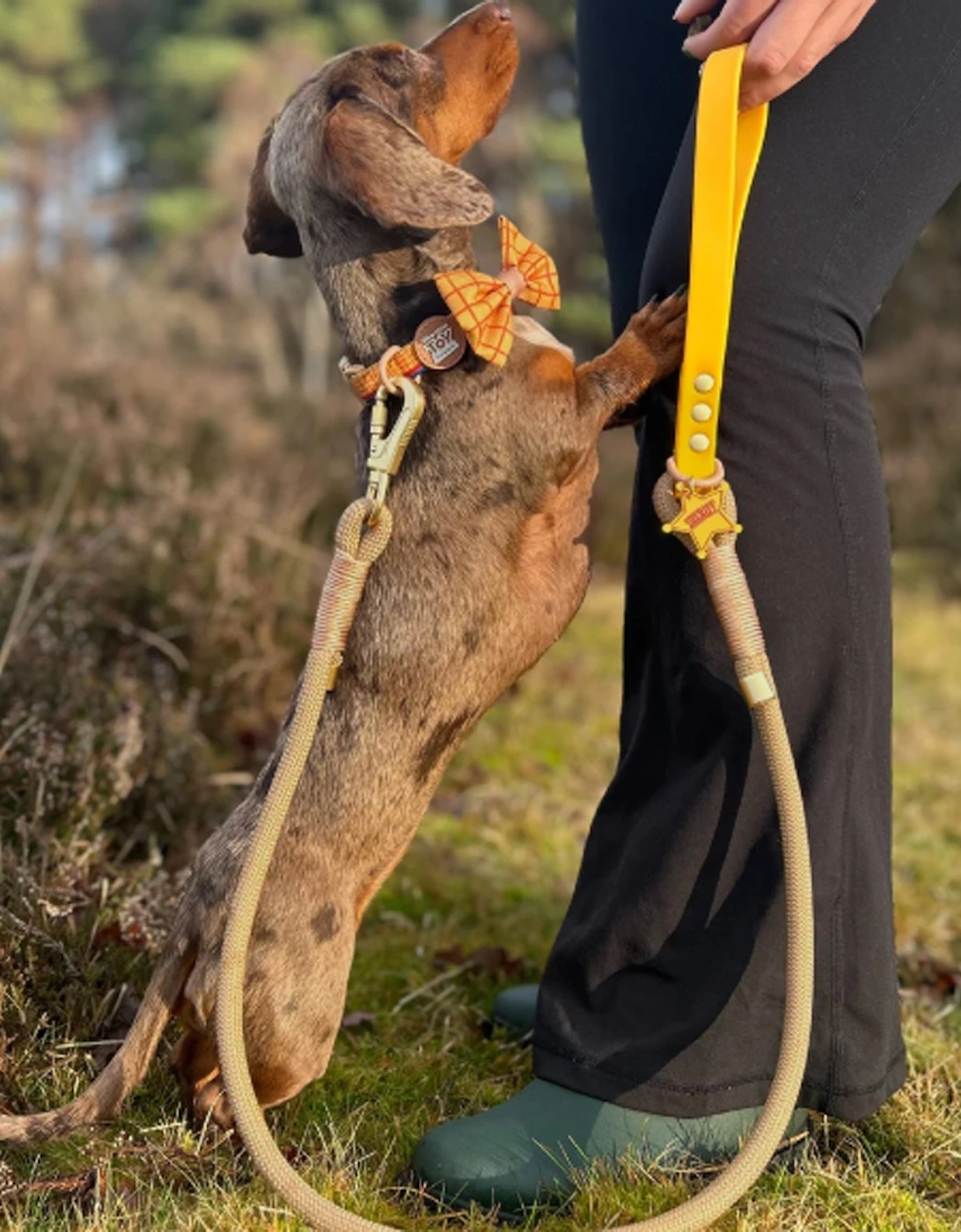 Disney Woody 4ft Rope Lead