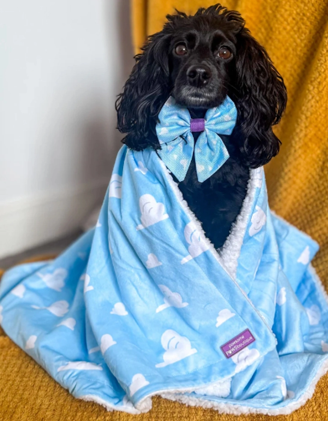 Disney Cloud Blanket