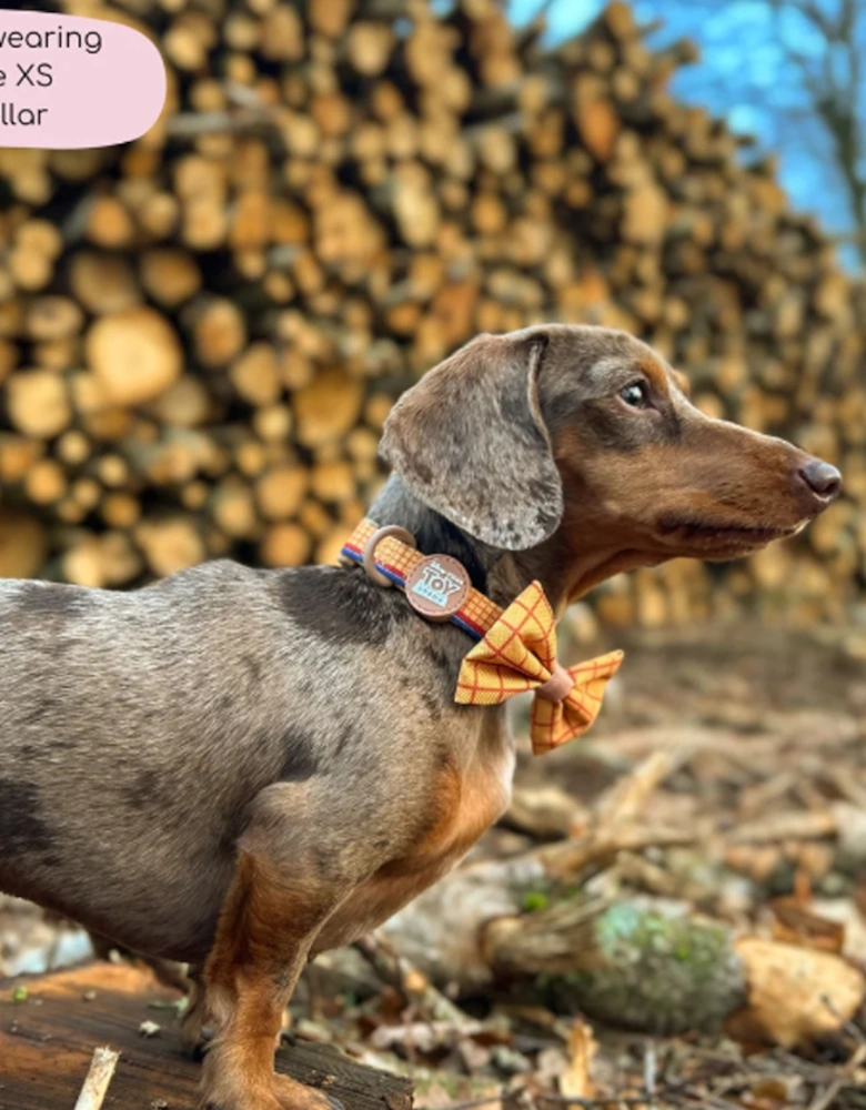 Disney Collar Woody