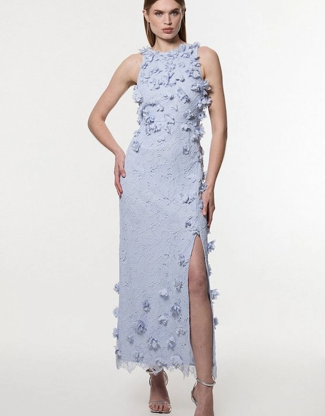 Tall Floral Applique Lace Woven Midi Dress, 4 of 3