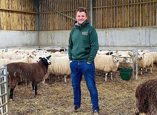 Back British Farming Unisex Buy British Pro Hoodie Forest Green