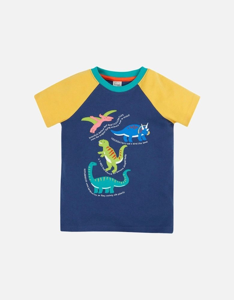 Boys Renny Raglan T-shirt - Navy