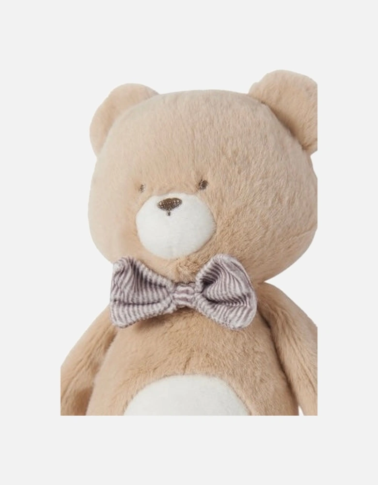 Neutral Teddy Bear Toy