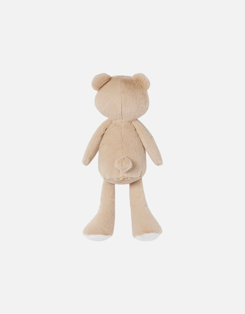 Neutral Teddy Bear Toy