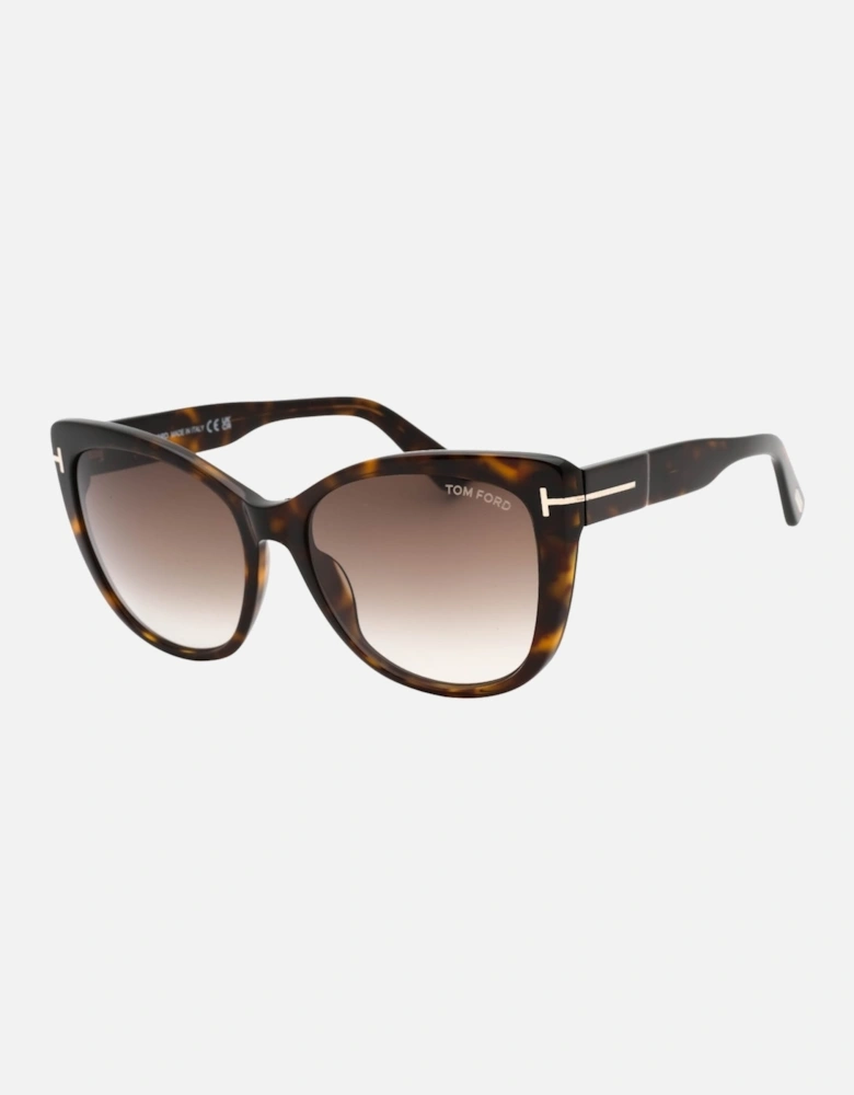 Gradient Roviex Dark Havana Brown Sunglasses