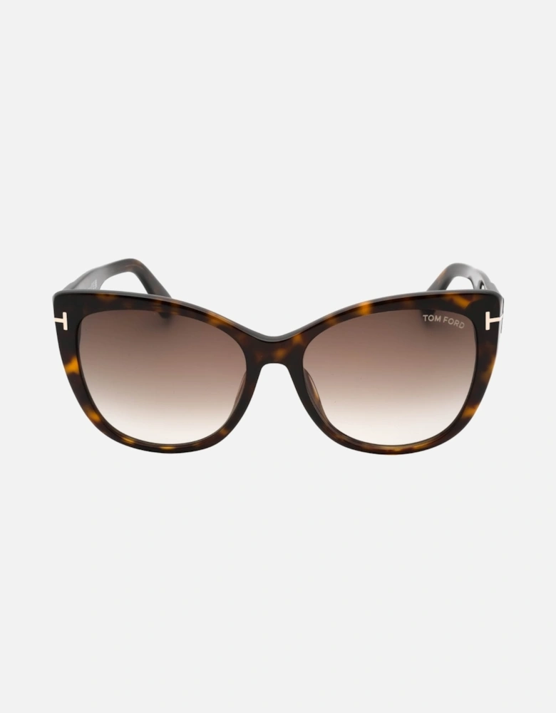 Gradient Roviex Dark Havana Brown Sunglasses