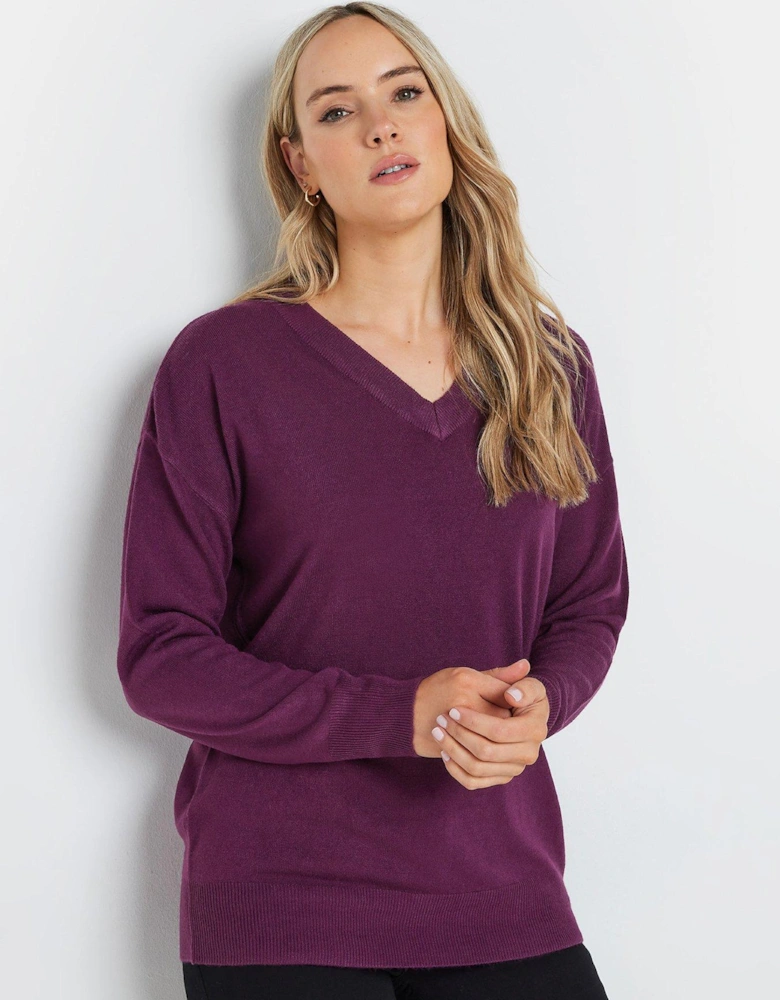 Tall V Neck Jumper - Purple