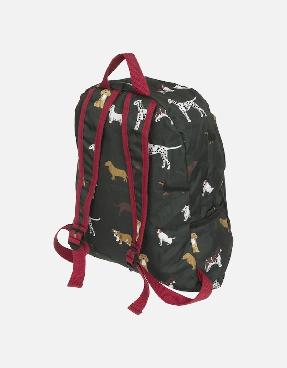 Fetch Folding Rucksack