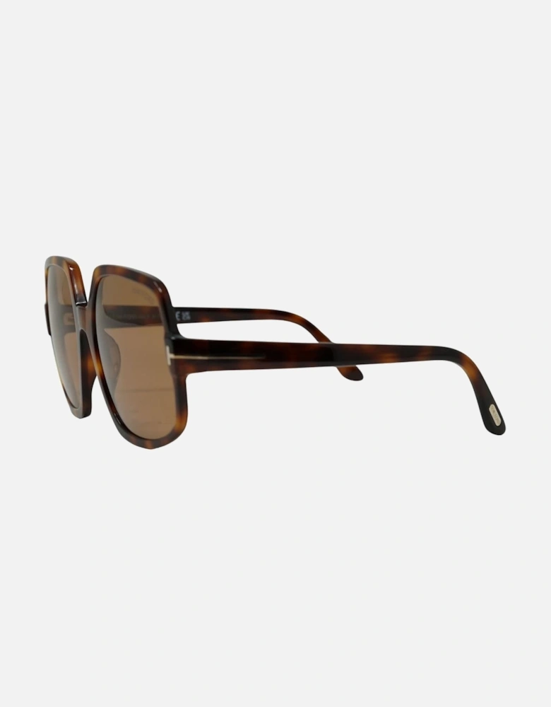 Delphine 02 Ft0992 52E Brown Sunglasses