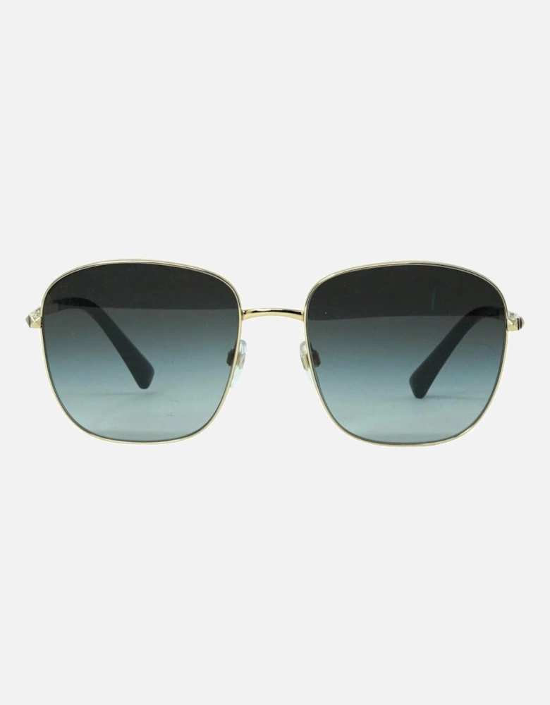 Va2046 30028G Gold Sunglasses