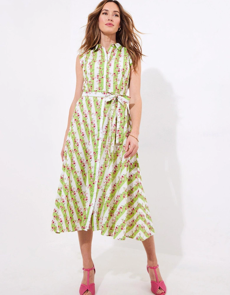 Vintage Rose Stripe Cotton Dress - Green