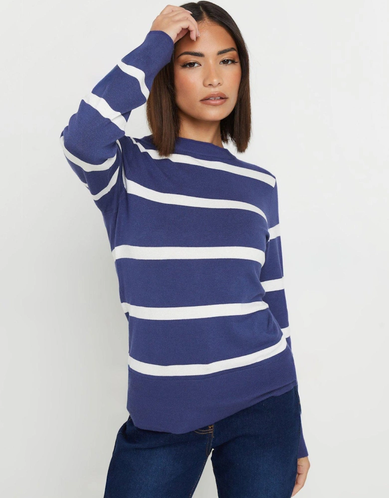 Petite Stripe V Neck Jumper - Blue