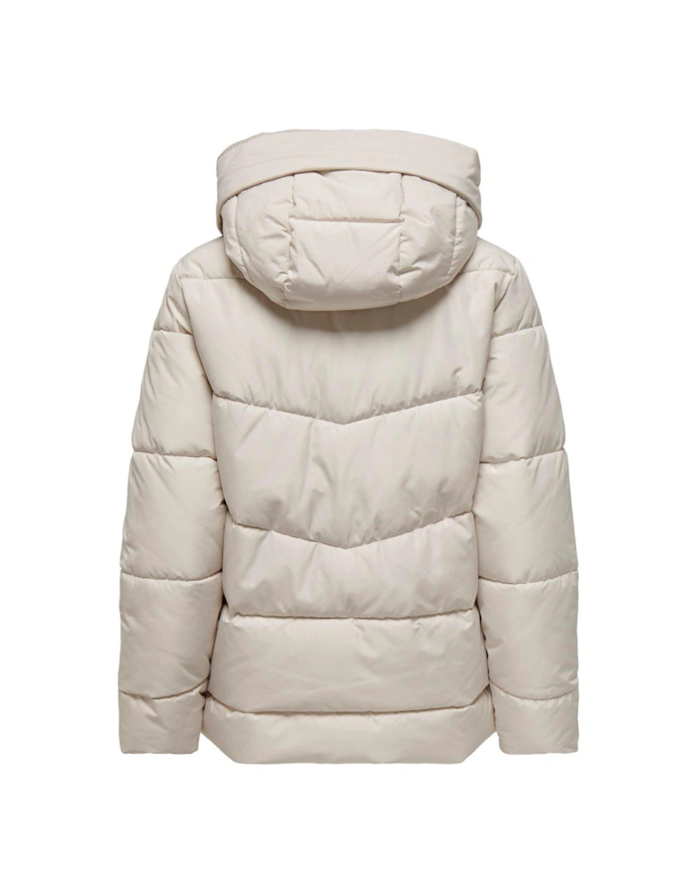 Short Padded Coat - Cream