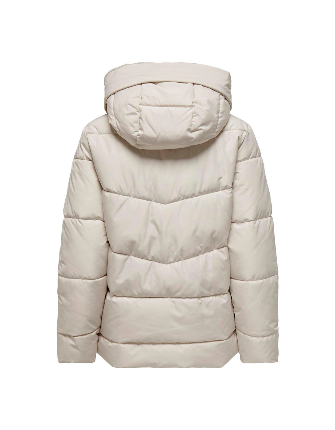 Short Padded Coat - Cream